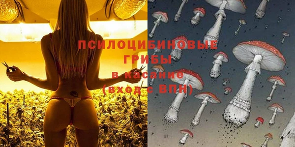 не бодяженный Баксан